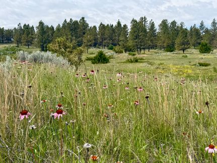 Farm and Ranch for sale in Custer County, Montana