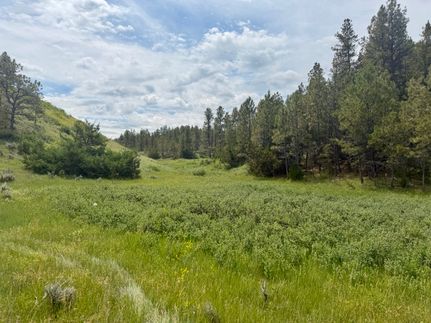 Farm and Ranch for sale in Custer County, Montana