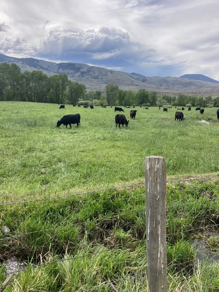 Land for sale in Lemhi County, Idaho