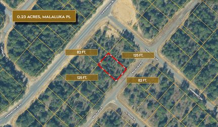 Farm and Ranch for sale in Washington County, Florida