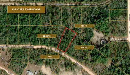Timberland Property in Jackson County, Florida