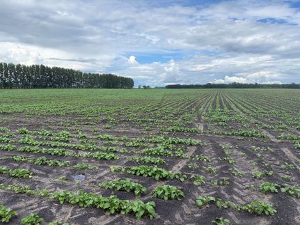 Land for sale in Kittson County, Minnesota