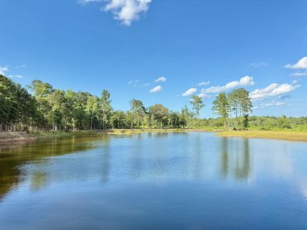 Recreational Property for sale in Dillon County, South Carolina