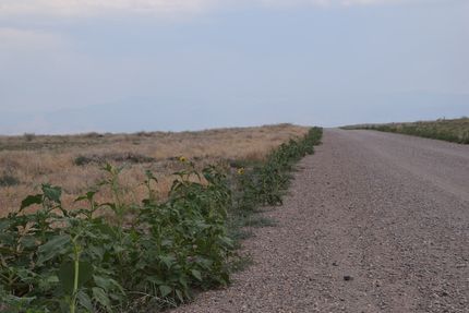 Recreational Property for sale in Millard County, Utah