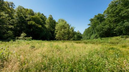 Homesite for sale in Wolfe County, Kentucky