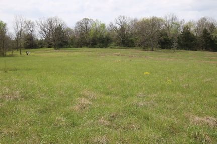 Commercial Property for sale in Webster County, Missouri