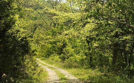 Land for sale in Claiborne County, Tennessee