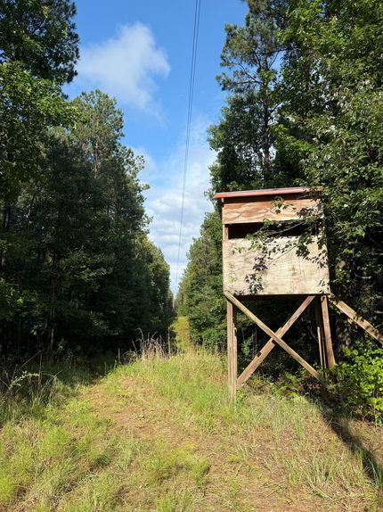 Timberland Property for sale in Attala County, Mississippi
