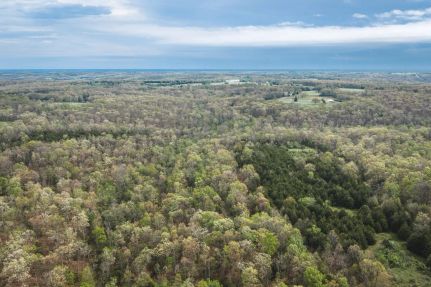 Undeveloped Land for sale in Gasconade County, Missouri