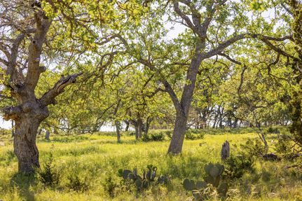 Timberland Property for sale in Gillespie County, Texas