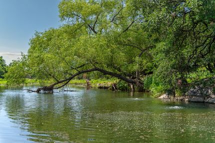 Timberland Property for sale in Mason County, Texas