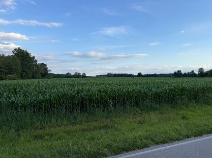 Undeveloped Land for sale in Brown County, Ohio