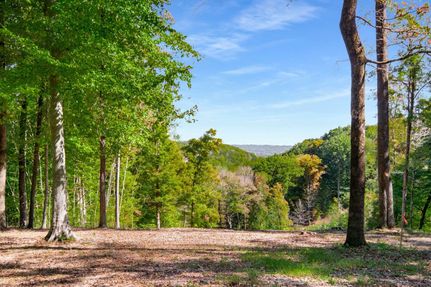 Undeveloped Land for sale in Williamson County, Tennessee