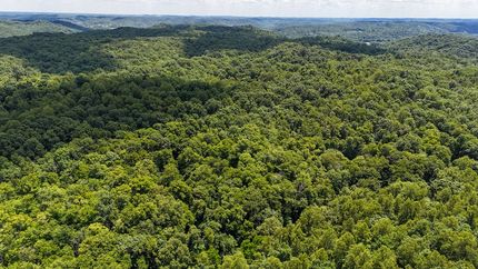 Timberland Property for sale in Greenup County, Kentucky