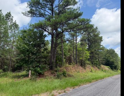 Timberland Property for sale in Fayette County, Alabama