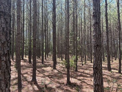 Recreational Property for sale in Wilkinson County, Georgia
