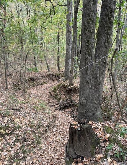 Recreational Property for sale in Craighead County, Arkansas