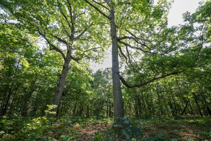Commercial Property for sale in Barry County, Missouri