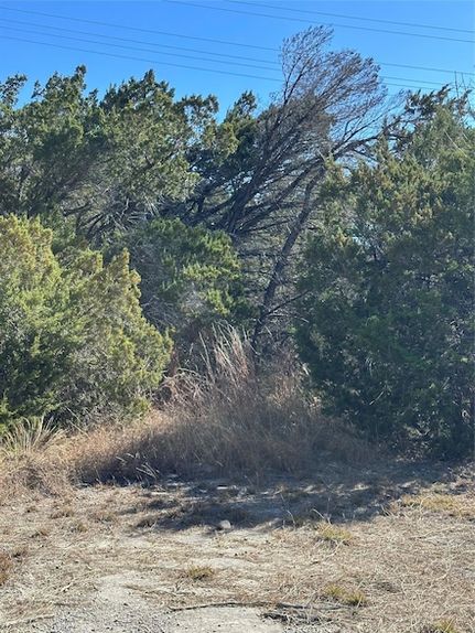 Timberland Property for sale in Travis County, Texas