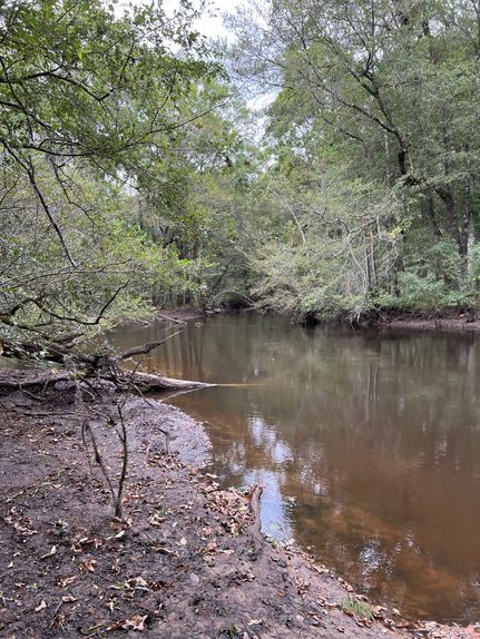 Recreational Property for sale in Bamberg County, South Carolina