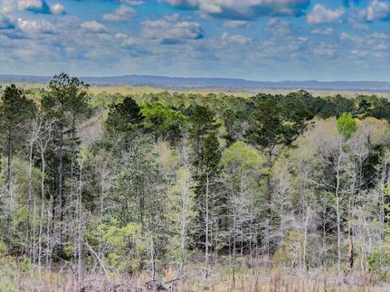 Land for sale in Washington County, Florida