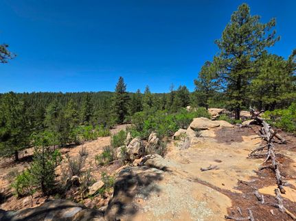 Undeveloped Land for sale in Las Animas County, Colorado
