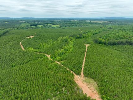 Timberland Property for sale in Pittsylvania County, Virginia