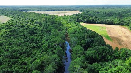 Land for sale in Lincoln County, Arkansas