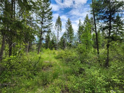 Recreational Property for sale in Ferry County, Washington