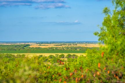 Recreational Property for sale in McCulloch County, Texas