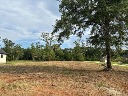 Undeveloped Land for sale in Mobile County, Alabama