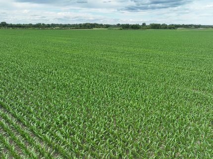 Farm and Ranch for sale in Swift County, Minnesota