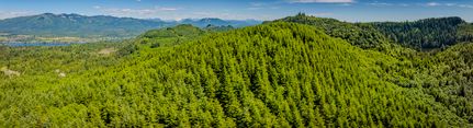 Farm and Ranch for sale in Skagit County, Washington