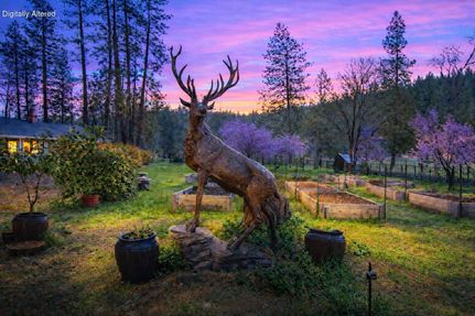 Farm and Ranch for sale in Shasta County, California