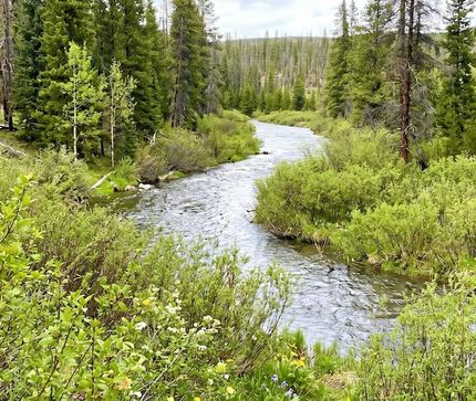 Farm and Ranch for sale in Albany County, Wyoming