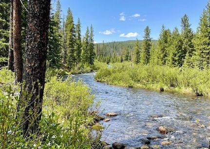 Recreational Property for sale in Albany County, Wyoming