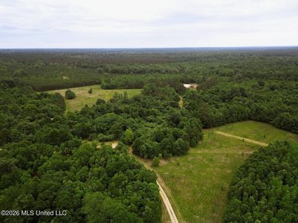 Recreational Property for sale in Amite County, Mississippi