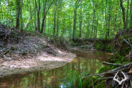 Land for sale in Newton County, Texas