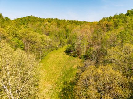 Undeveloped Land for sale in Carter County, Kentucky