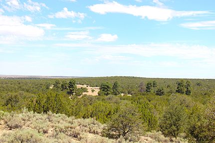 Land for sale in Torrance County, New Mexico