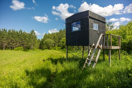 Farm and Ranch for sale in Wadena County, Minnesota