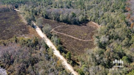 Timberland Property for sale in Jackson County, Florida