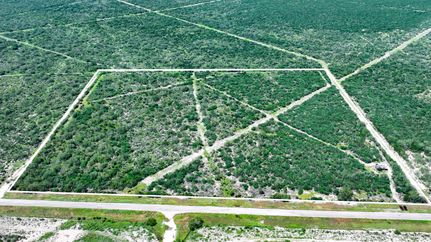 Land for sale in Duval County, Texas