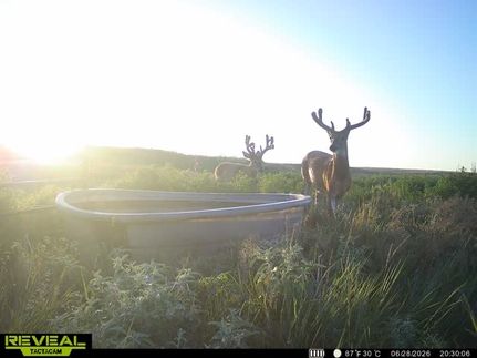 Farm and Ranch for sale in Kiowa County, Kansas