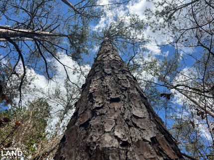 Recreational Property for sale in Monroe County, Alabama