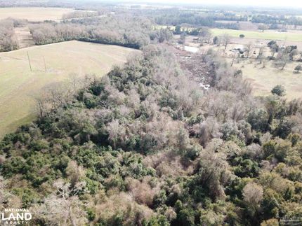 Timberland Property for sale in Santa Rosa County, Florida