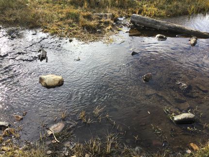 Farm and Ranch for sale in Carbon County, Wyoming