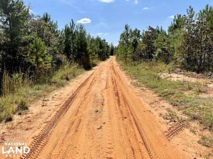 Homesite for sale in Clarke County, Alabama