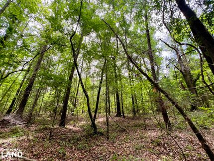 Land for sale in Clarke County, Alabama