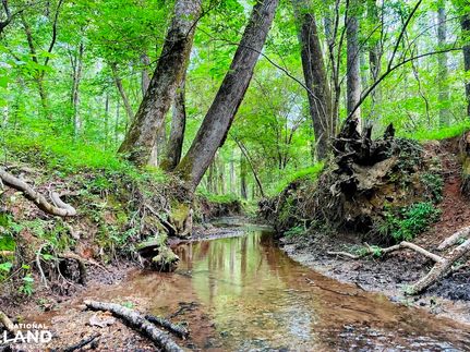 Land for sale in Meriwether County, Georgia